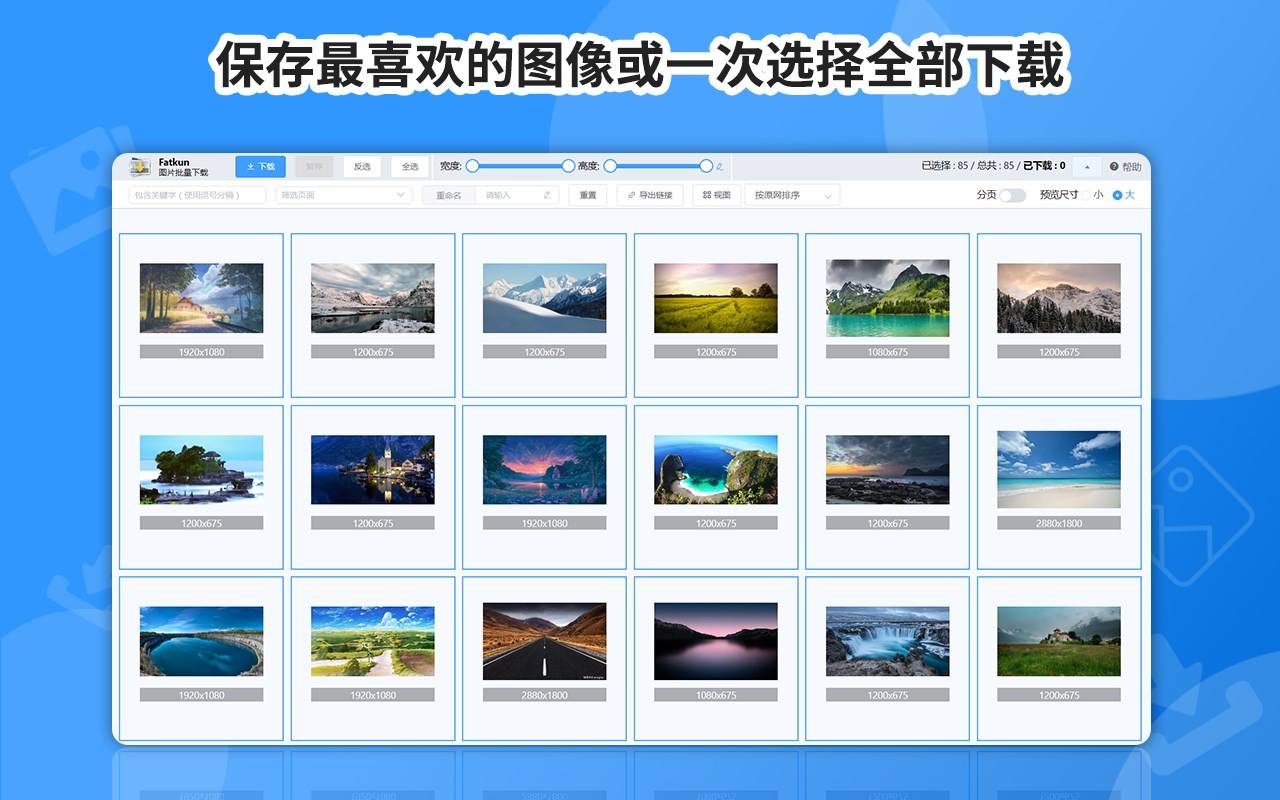 Fatkun：批量下载电商网站上的图片