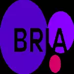 Bria.ai：文字生成背景图工具