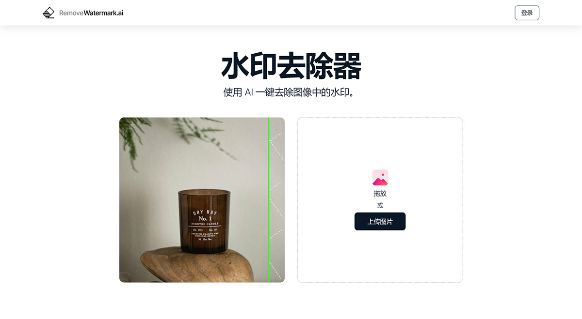 RemoveWaterMark:AI一键去除图像水印。